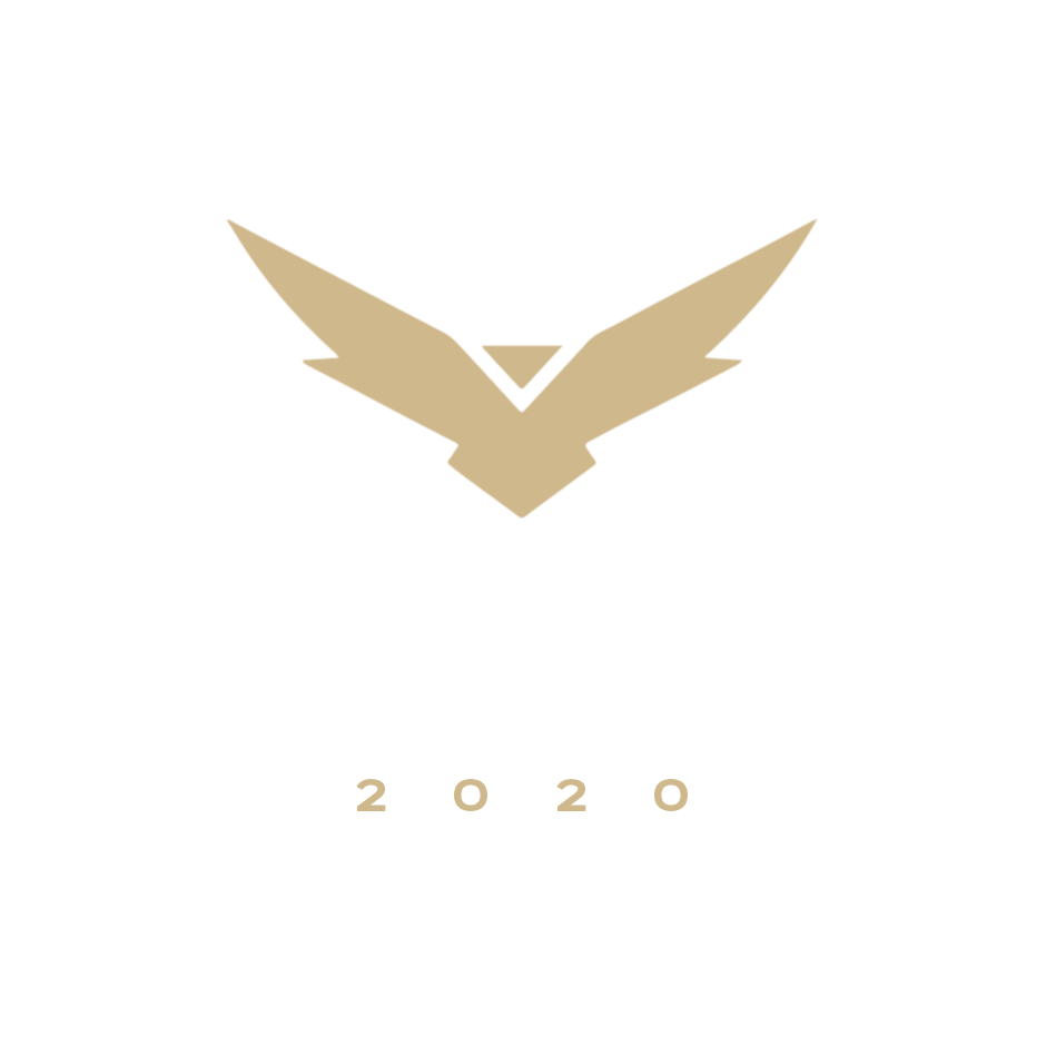 FALCON2020